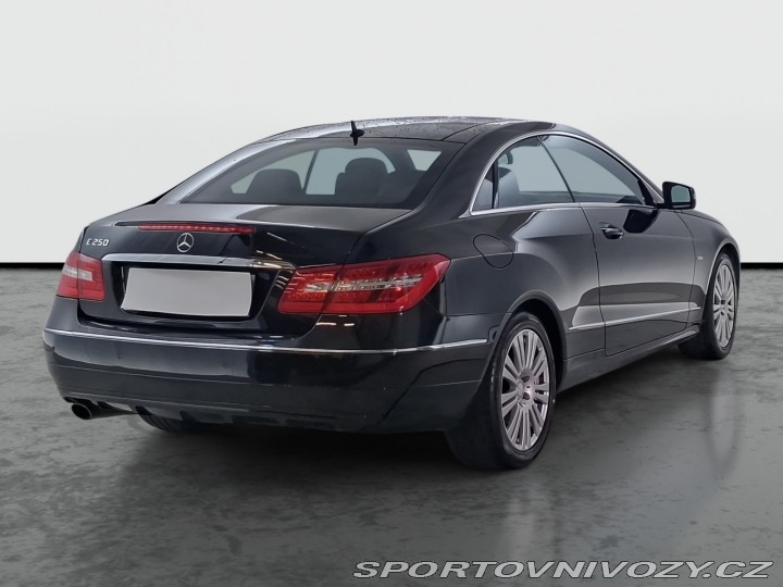 Mercedes-Benz E Avantgarde E 250 2010