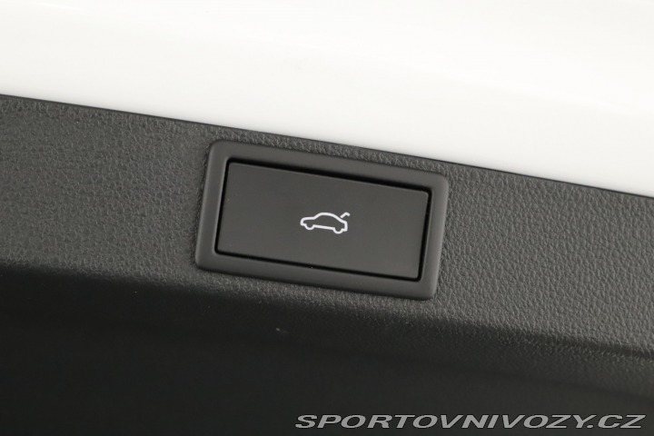Škoda Octavia RS RS RS 2.0 TSI 2025