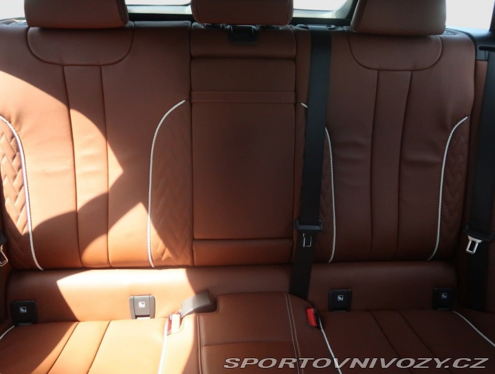 BMW 5 Luxury Line 530e xDrive 2021