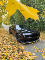 Dodge Challenger  2022