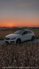 Mercedes-Benz A A250 w176 2013