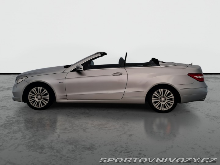 Mercedes-Benz E E 250 2010