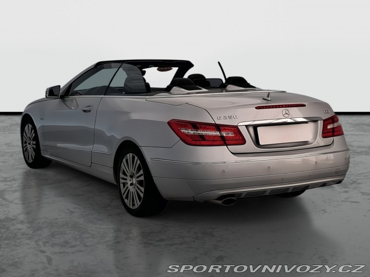 Mercedes-Benz E E 250 2010