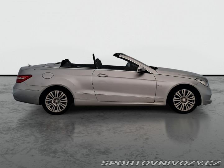 Mercedes-Benz E E 250 2010