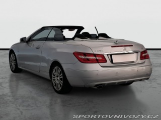 Mercedes-Benz E E 250 2010
