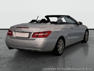 Mercedes-Benz E E 250 2010