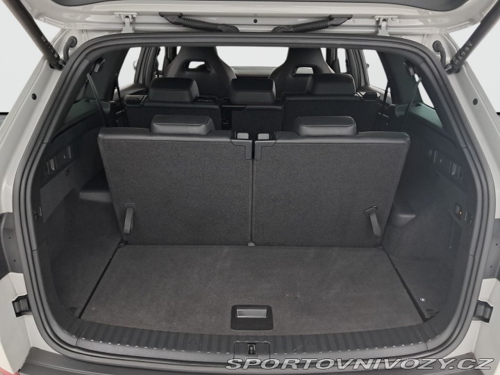 Škoda Kodiaq RS RS RS 2.0 TSI 2023