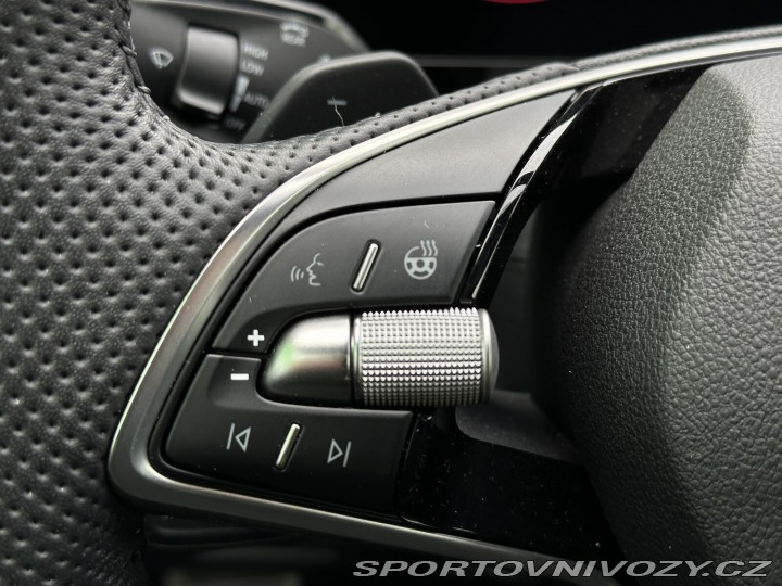 Škoda Kodiaq RS RS DSG 4x4 265PS Matrix-L 2026