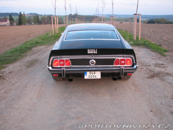 Ford Mustang Mach1 Fastback Cobra Jet 1973