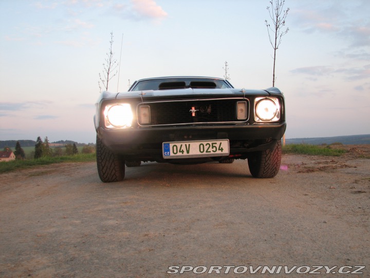 Ford Mustang Mach1 Fastback Cobra Jet 1973