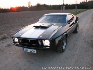Ford Mustang Mach1 Fastback Cobra Jet 1973
