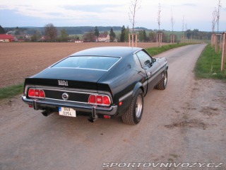Ford Mustang Mach1 Fastback Cobra Jet 1973