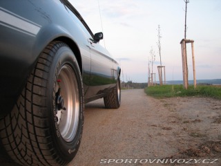 Ford Mustang Mach1 Fastback Cobra Jet 1973