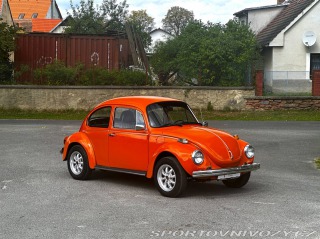 Volkswagen Brouk 