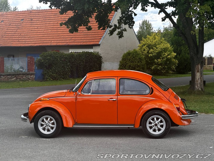 Volkswagen Brouk 1974