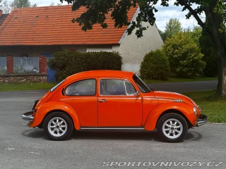Volkswagen Brouk 1974