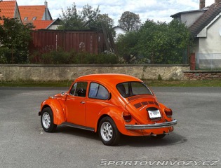Volkswagen Brouk 1974