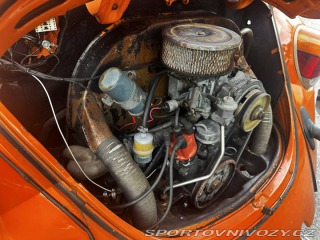 Volkswagen Brouk 1974