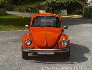Volkswagen Brouk 1974