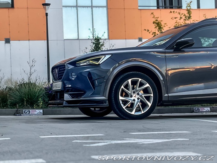 Cupra Formentor 1.5 TSI DSG 110kW 2022 / 2022