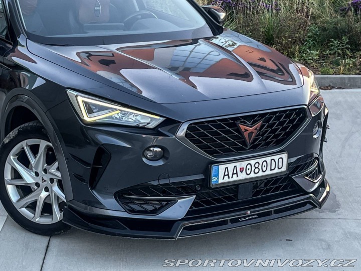 Cupra Formentor 1.5 TSI DSG 110kW 2022 / 2022