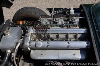 Jaguar D-Type replika 1970